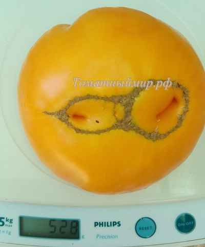 Томат Большой золотой вкусный (Big Golden Delicious)