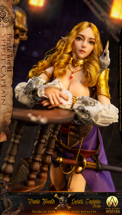 Эльфийка-пират Аиша - КОЛЛЕКЦИОННАЯ ФИГУРКА 1/6 Captain Aisha (WS018A) - War Story