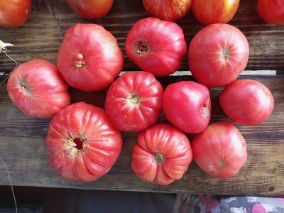 Томат Эль-Амар (El-Amar)