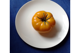 Золото Гари Ибсена