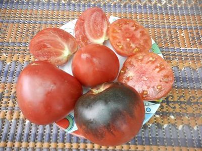 Томат Сержант Пеппер (Sgt Peppers ), США