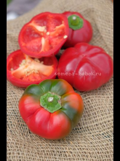 Перец сладкий Александр, 10 шт