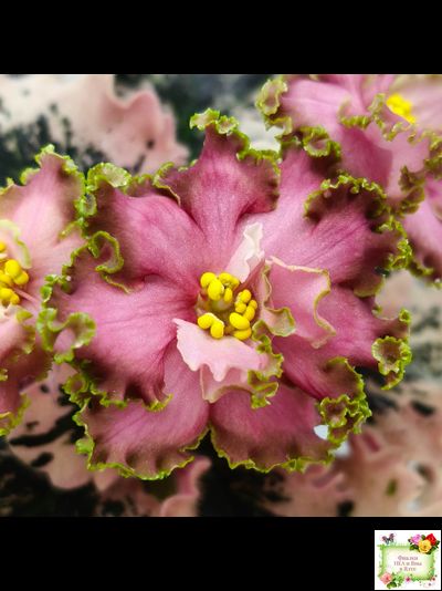 МТ-Пески Времени (М. Тотиева) 2022 г.