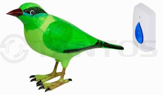 Звонок Птичка