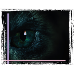 Гель-лак FOR YOU Cat's eye YUKI