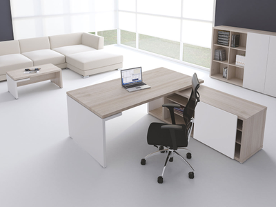 Кабинет руководителя Zion