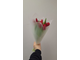 Букет из 9 красных тюльпанов