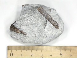 Ставролит, сросток кристаллов "косой крест" на сланце, Россия, Кольский п-ов (55*41*19 мм, 50 г) №26083