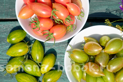 Томат Блаш Розовый (Pink Blush), 10 шт