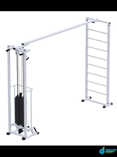 "Биотонус"  100 кг со шведской стенкой