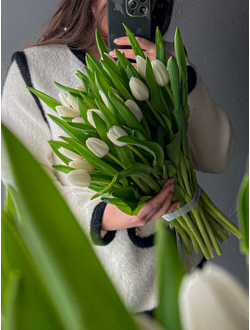 Охапка тюльпанов 25шт  «MONO»