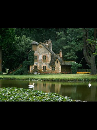 Купить греющую картину с фото замок с лебедями