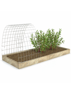 грядки Грядка 5 с рассадой