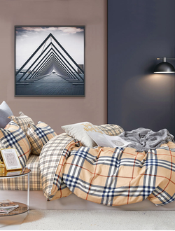 Постельное белье TANGO Twill сатин евро 200x220x1 230x250x1 50x70x2 70x70x2 TPIG6-1957