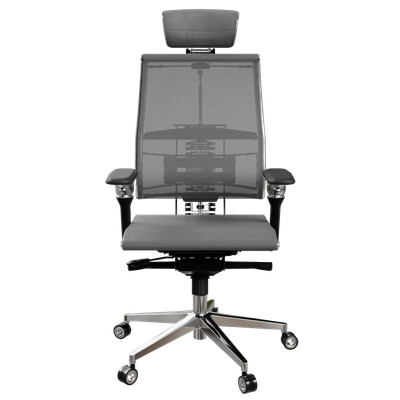 Yoga Spine Gray