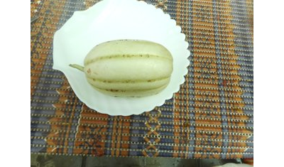 Дыня Мечта сибарита (Мечта лентяя)