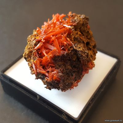 Крокоит — кристаллы на породе в пластиковом боксе. ААА