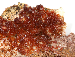 Ванадинит, кристаллы на породе, Марокко (63*45*21 мм, 58 г) №35880