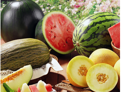 АРБУЗЫ И ДЫНИ
