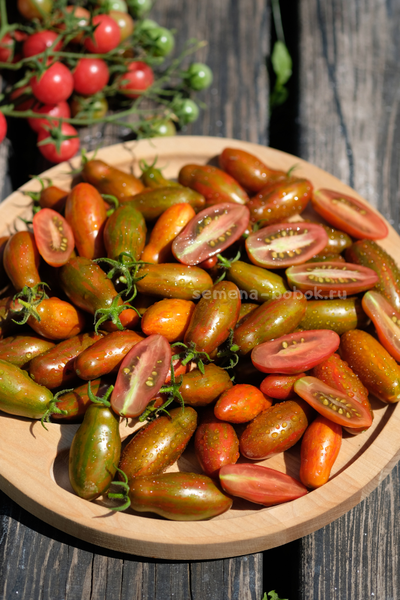 Томат Оливетта полосатая (Olivette Striée), 10 шт