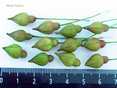 "Бутоны кустовой розы" силиконовый молд