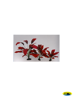 81010-13 растение шелк. Эхинодорус Кляйн Бер 13см