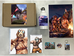 Бокс Borderlands, Бордерленд №4