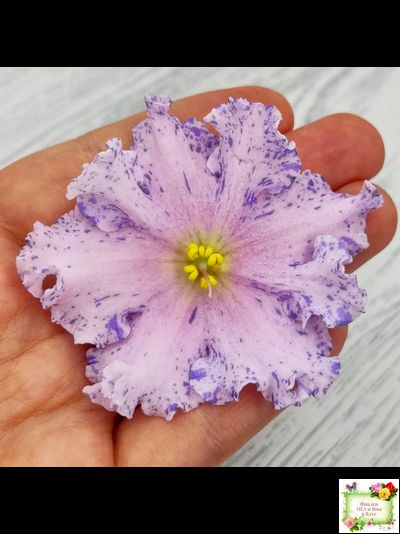 НД-Хоровод  (Н.Данилова-Суворова) 2021 г.