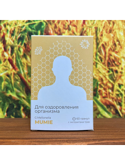 Огневка МУМИЕ для укрепления иммунитета 60 шт