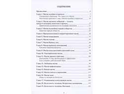 Ярогор Смирнов. Школа научной магии.