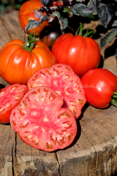 Томат Reduci (Ветеран), 10 шт