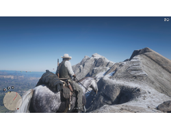 Игра Red Dead Redemption 2 (PS4)