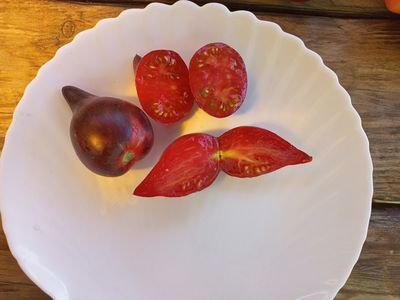 Томат Огненная комета Софии