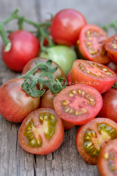Томат Гном Противоречия (Controversy), 10 шт