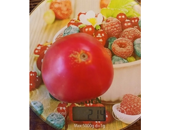 Томат Бычье сердце Ким времен гражданской войны, Kim’s Civil War Oxheart (США)