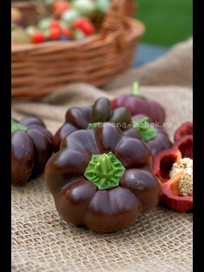 Перец сладкий Паприка Чоколейт, 10 шт