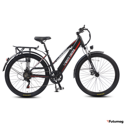 Электровелосипед WHITE SIBERIA CAMRY LIGHT 500W матовый черный