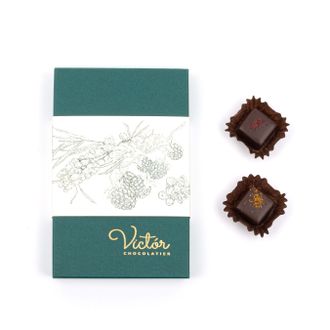 Мармелад Victor Chocolatier Малина-Брусника, 115 гр