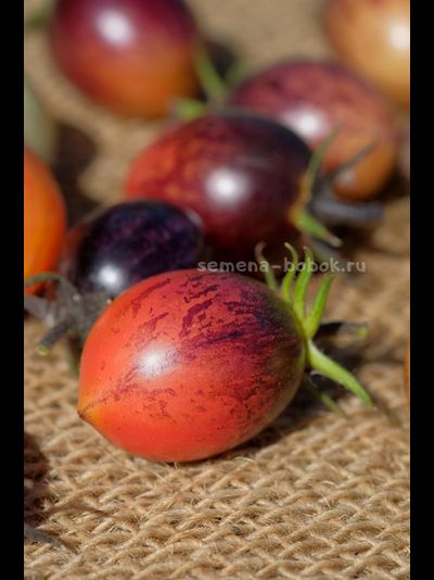 Томат Любушка, 10 шт