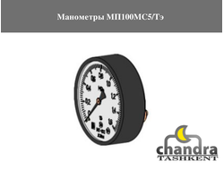 Манометры МП100МС5/Тэ