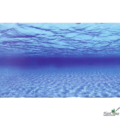 Фон-пленка двухсторонняя Sea Scape/Natural Mystic 60 см (цена за метр)