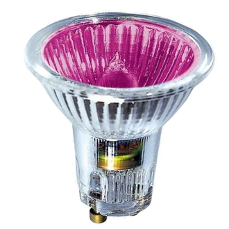 Галогенная цветная лампа BLV Popline Purple 50w 35° 240v GU10