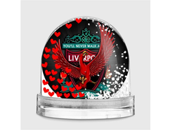 Водяной шар Ливерпуль, Liverpool FC №2