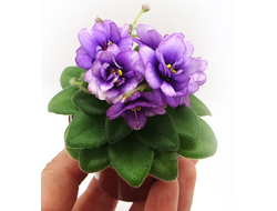 158) АВ-Ежик в Тумане (мини) (стартер)