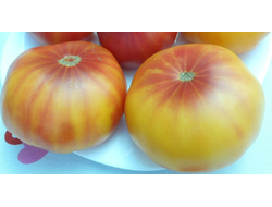 Томат Хейзел мей (Hazel mae)