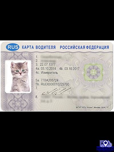 Карта водителя для тахографа СКЗИ