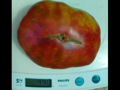 Томат Мадди Мамба (Muddy Mamba)