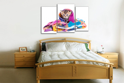 Модульная картина "Котенок в шали"