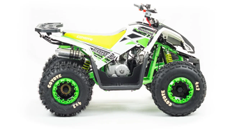 Квадроцикл MOTOLAND COYOTE 125 доставка по РФ и СНГ
