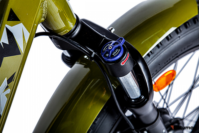 Электровелосипед VOLTECO BigCat Dual Next (Черный)